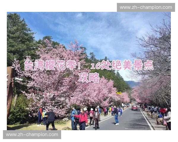 樱花与美食的碰撞：日本与台北的魅力对决